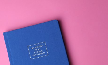 pexels-ann-h-1765033