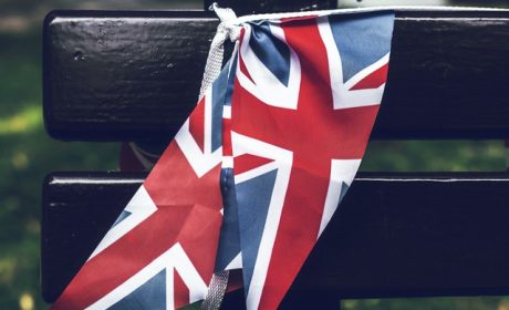 pexels-artem-beliaikin-2606515